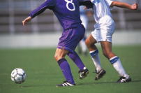 ���w���@���������̃C���[�W�ʐ^